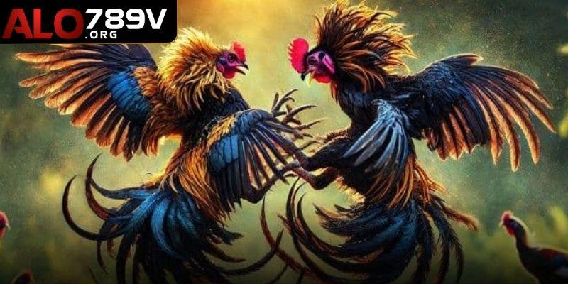 Chất lượng trận đá gà cựa dao tại ALO789 rất hấp dẫn và lôi cuốn