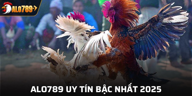 Alo789 chất lượng, uy tín bậc nhất 2025