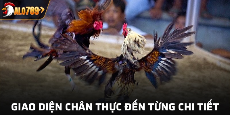 Giao diện hình ảnh tại Alo789 chân thực đến từng chi tiết
