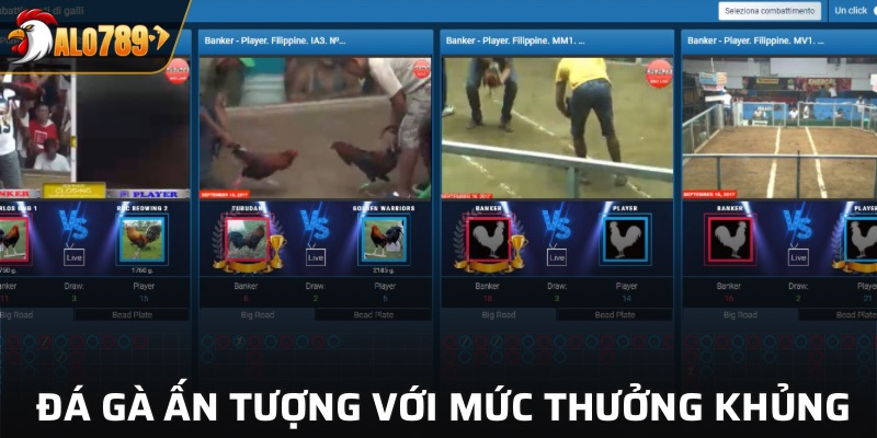 Sảnh đá gà gây ấn tượng với hình ảnh chân thực cùng mức thưởng khủng